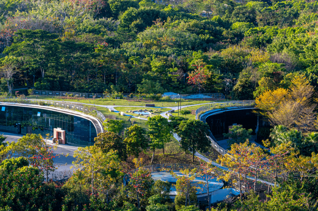 2022深圳湾x红树林公园一线滨海物业┃中信城开红树湾美行加人432