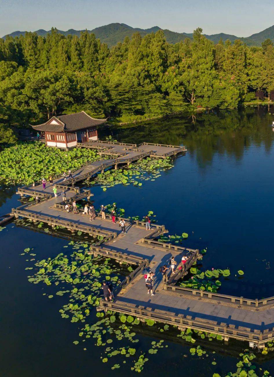 晨昏美景,碧水蓝天,水清荷红……西湖夏日美景邀您共赏!