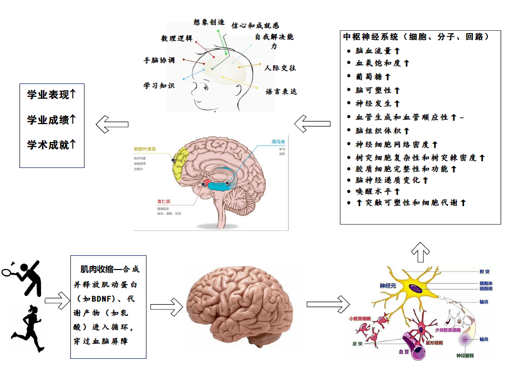 研究