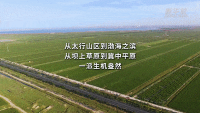 奋进新征程 建功新时代·非凡十年|河北:抢抓重大机遇打开新局面_建设_协同发展_秦大军