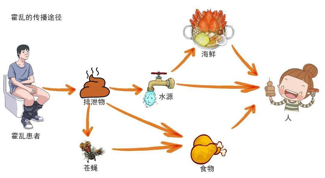 古老的霍乱到底是一种什么病呢?又该如何预防呢?_症状_病例_来源