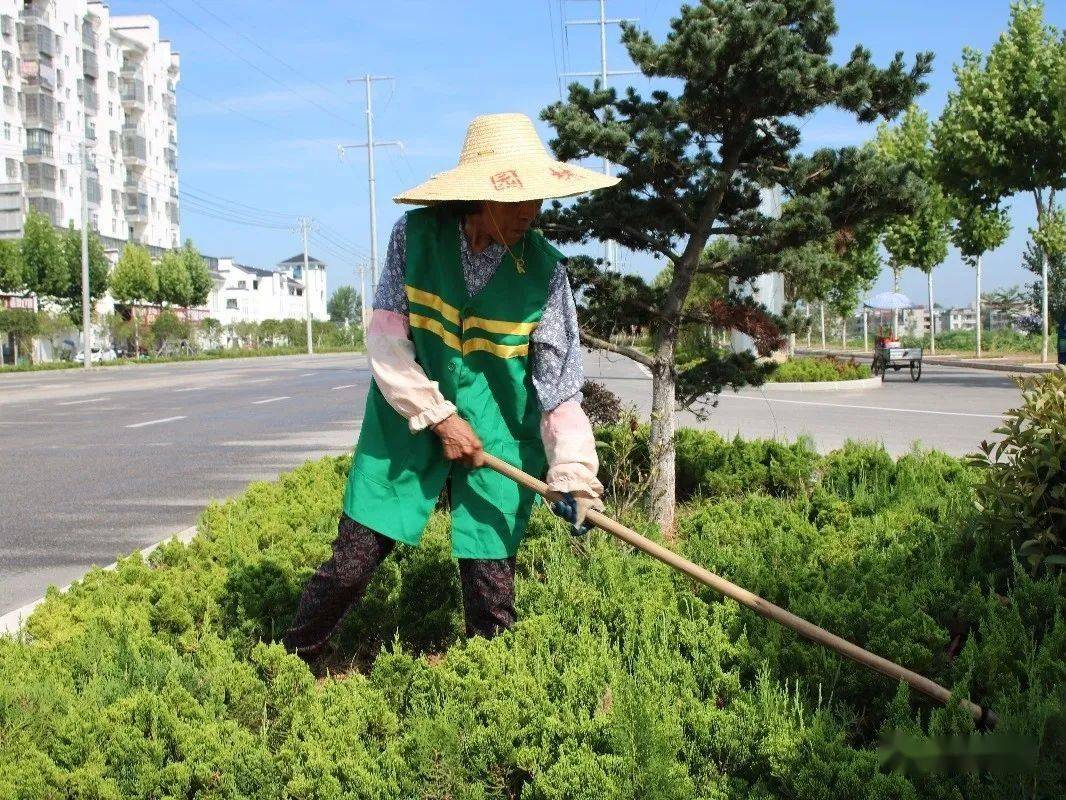 并在城区公园进行卫生保洁,为城市营造绿色生态景观.