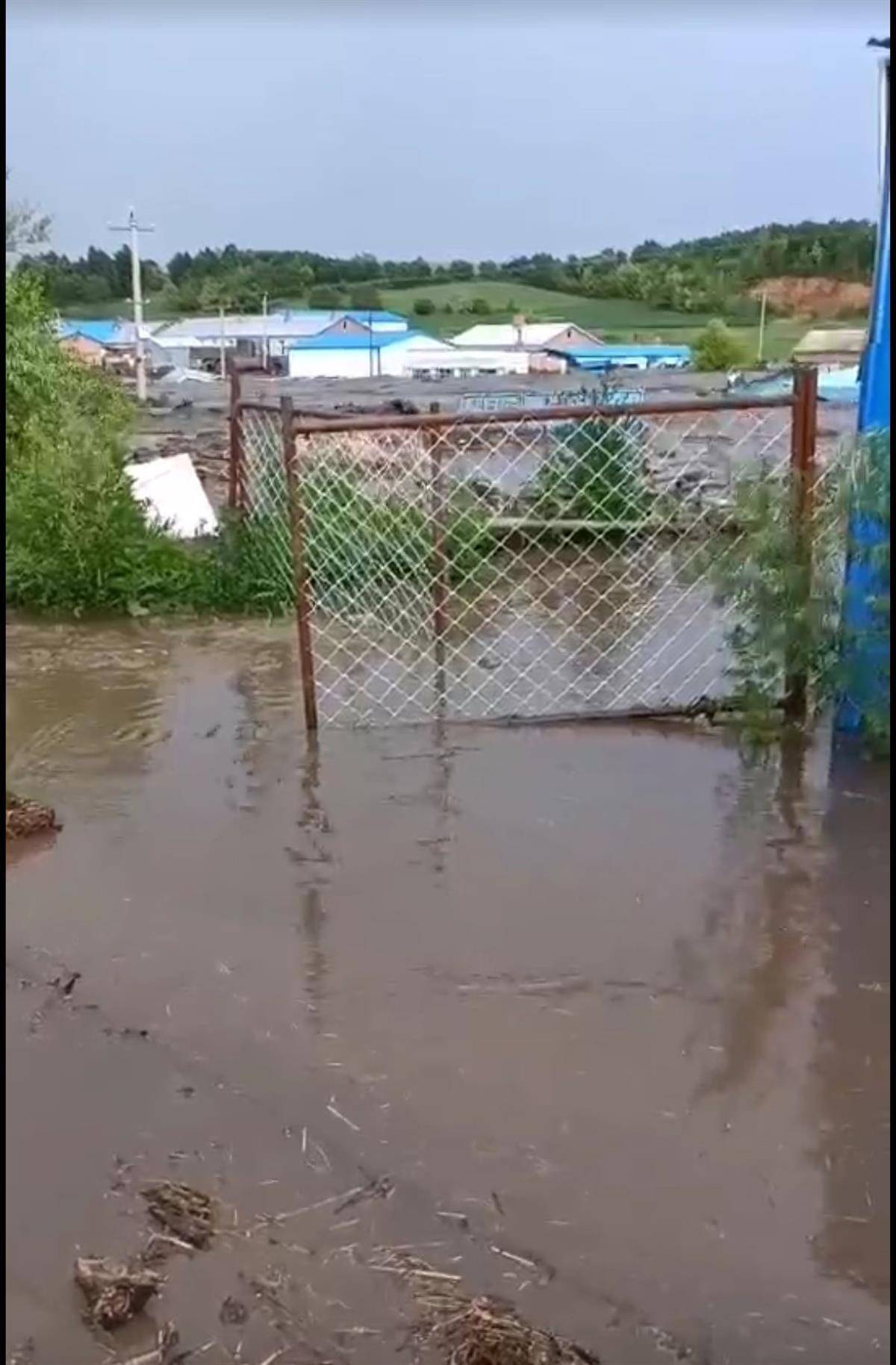 网传视频显示一片东北式民居中间淤泥遍地有地方还有积水地上还有