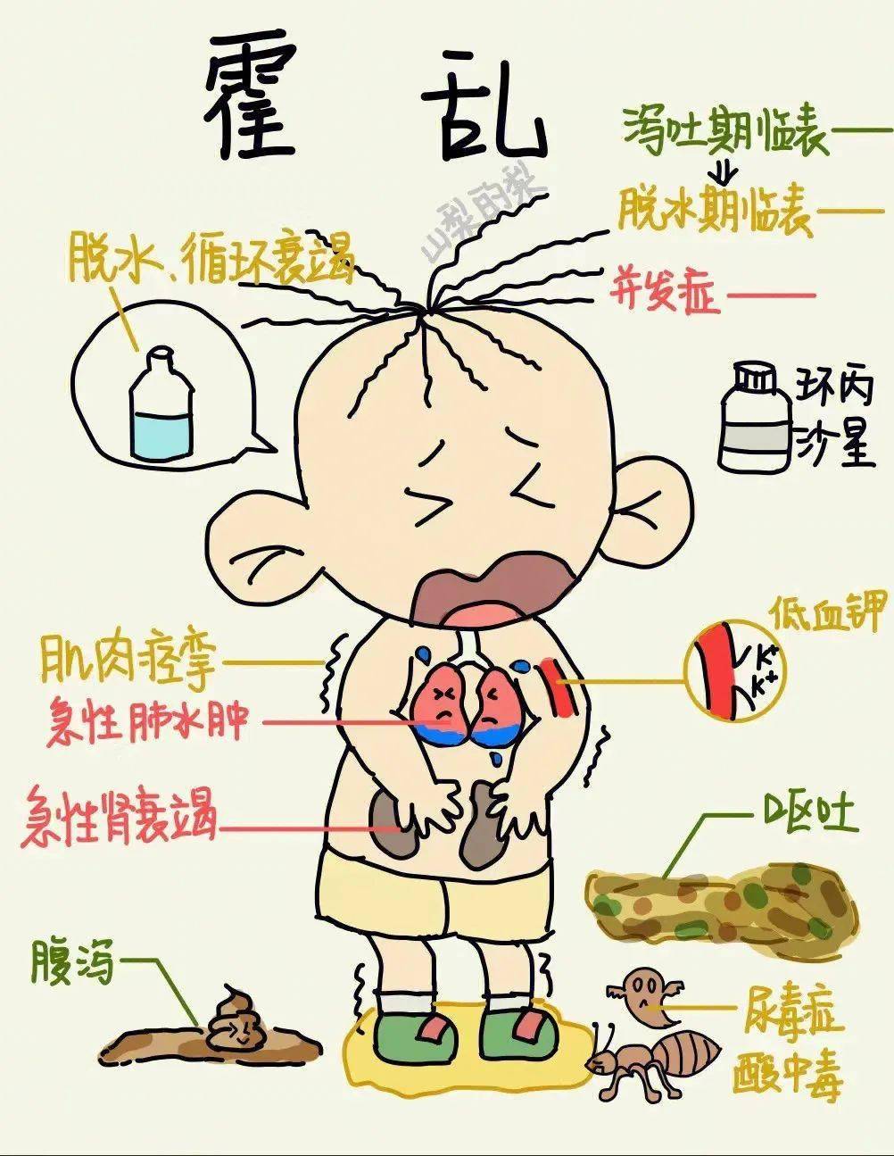 科普| 霍乱的传播与预防_海关_检疫法_症状