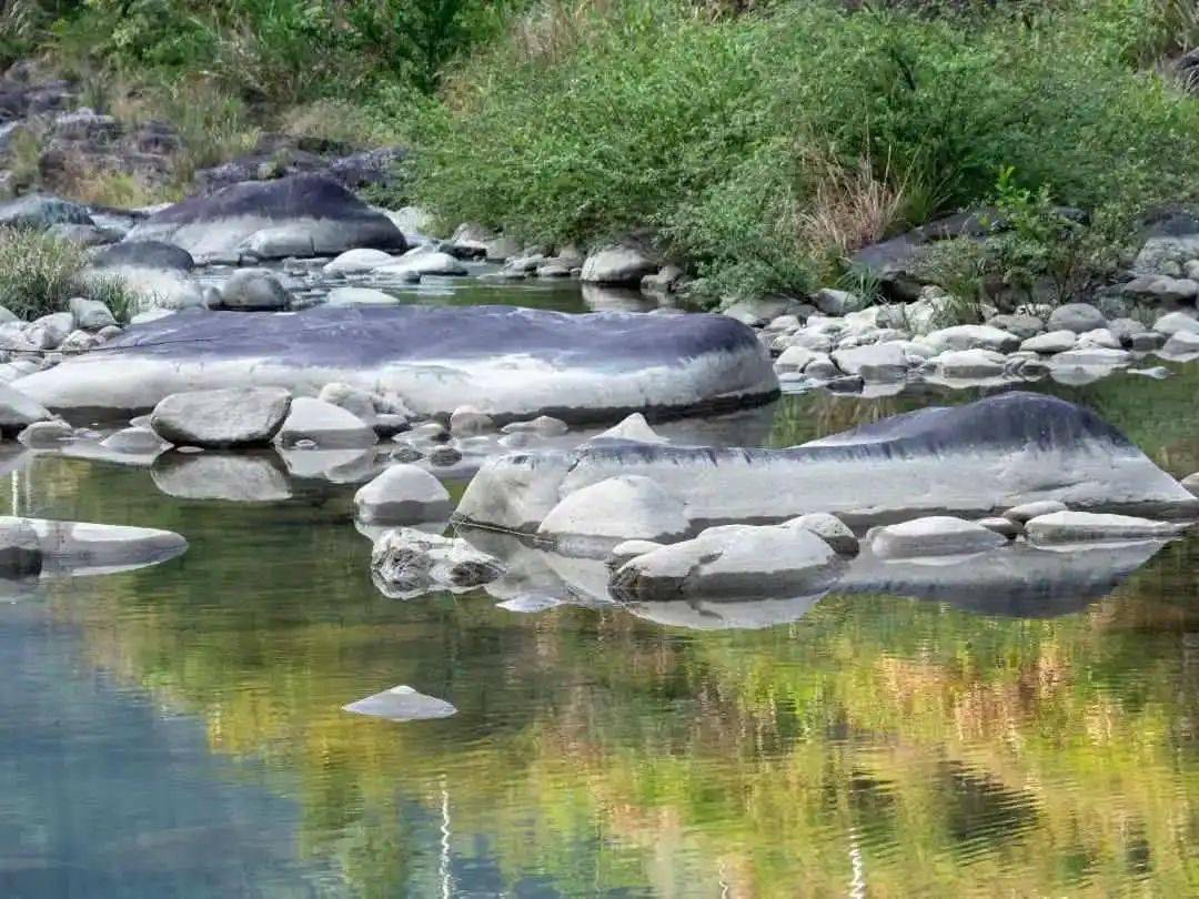 深度聚焦瓯江山水工程河湖治理再现瓯江秀丽风姿