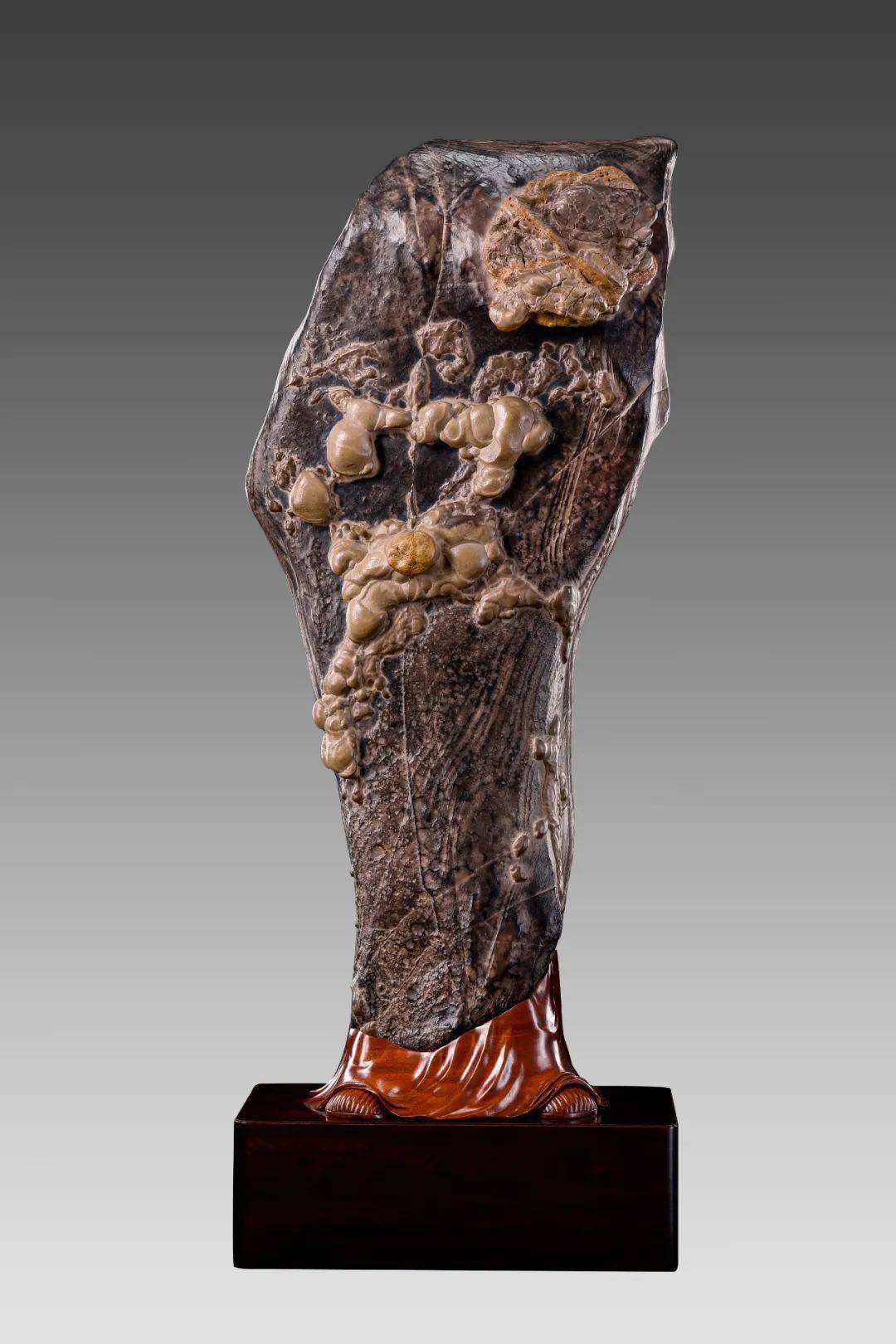 精品观赏石应具备的三个条件