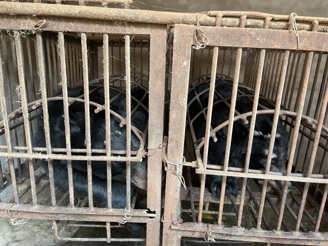 资阳中药养殖场