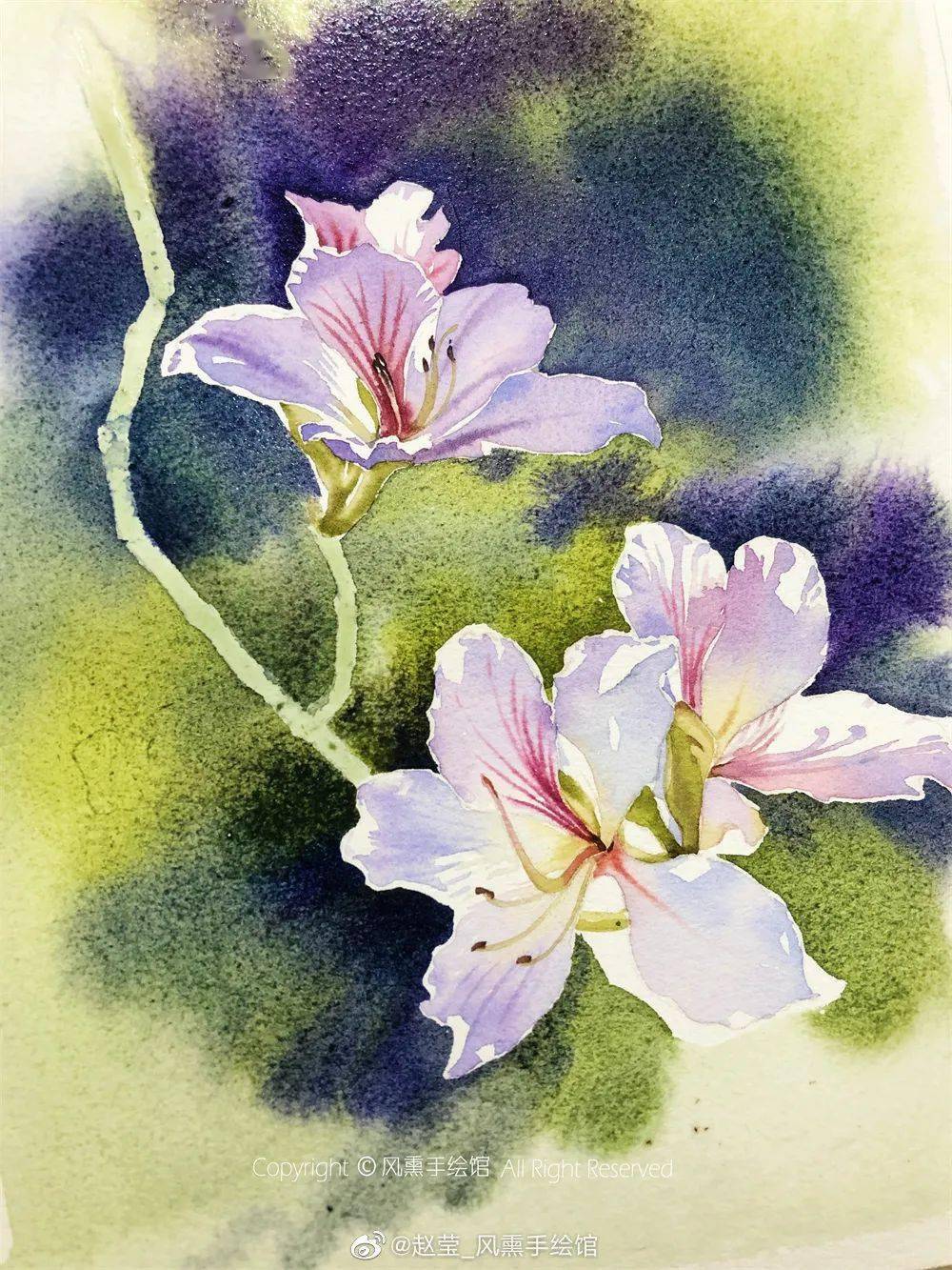 手把手教会你画超逼真细腻,美到炸裂的水彩花卉,静物!