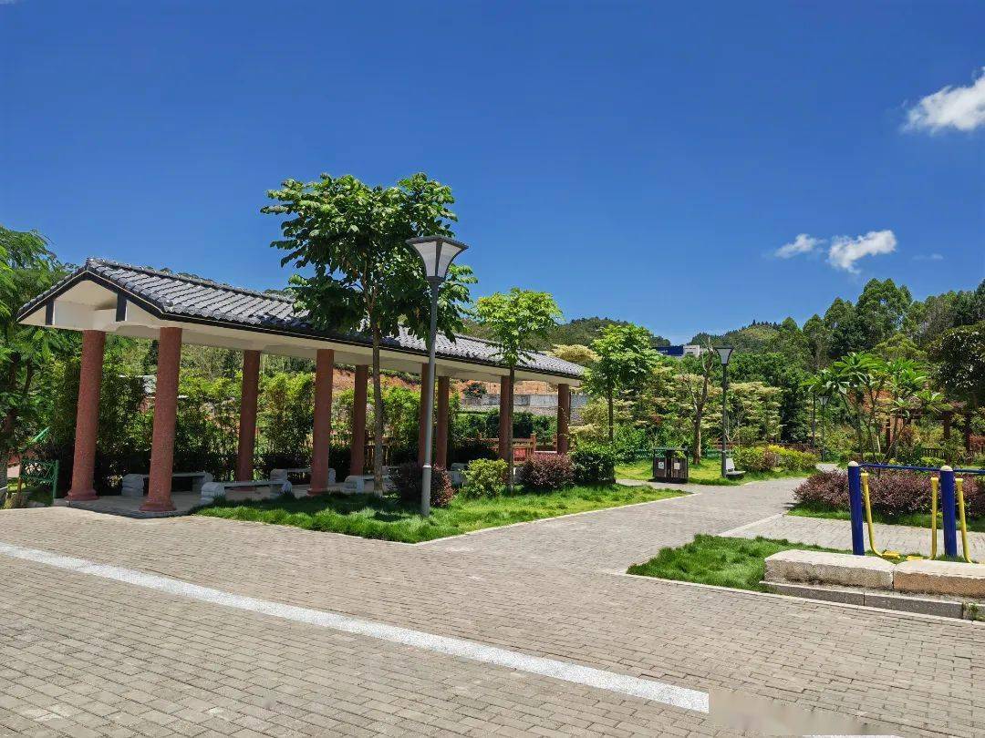 创文创卫进行时建饶镇明确分工持续改善镇容镇貌