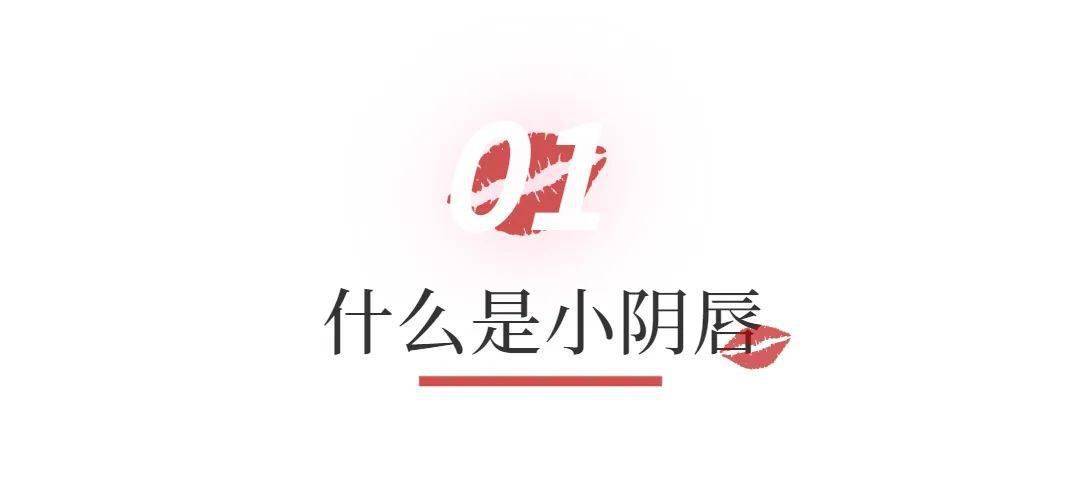 影响_阴蒂_女性