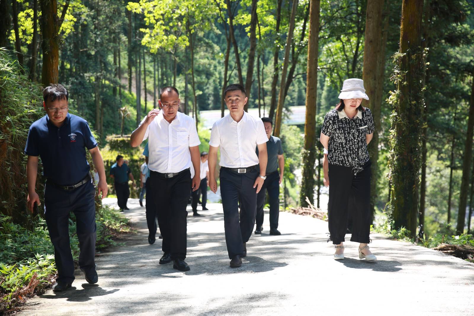 锦屏县委书记舒健图片