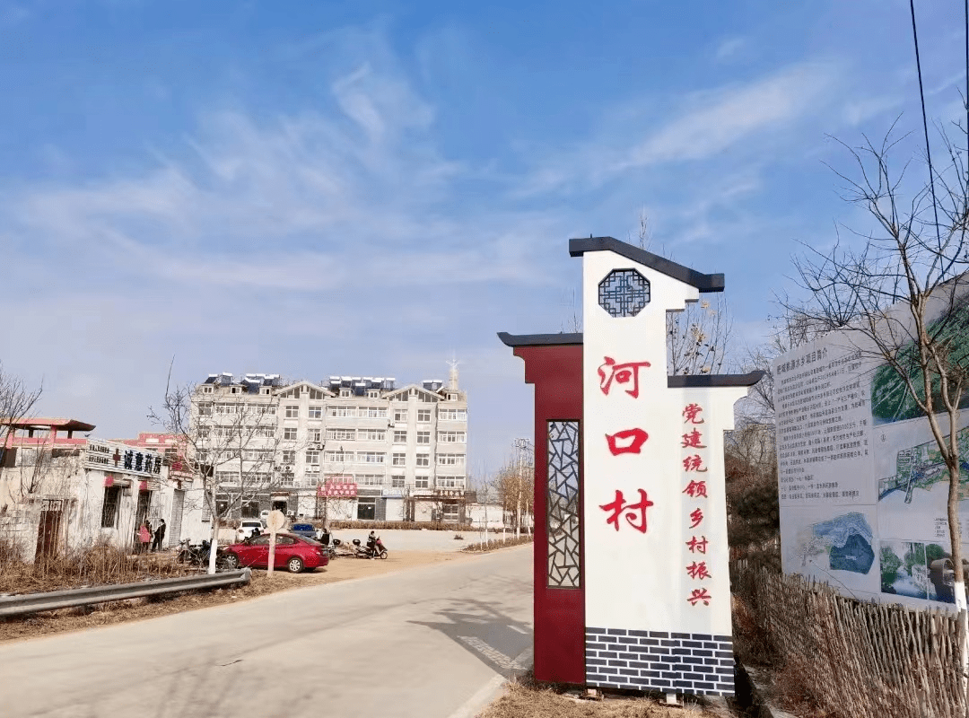 支部领办合作社肥城市老城街道河口村葡萄架下忙致富地瓜种植促增收