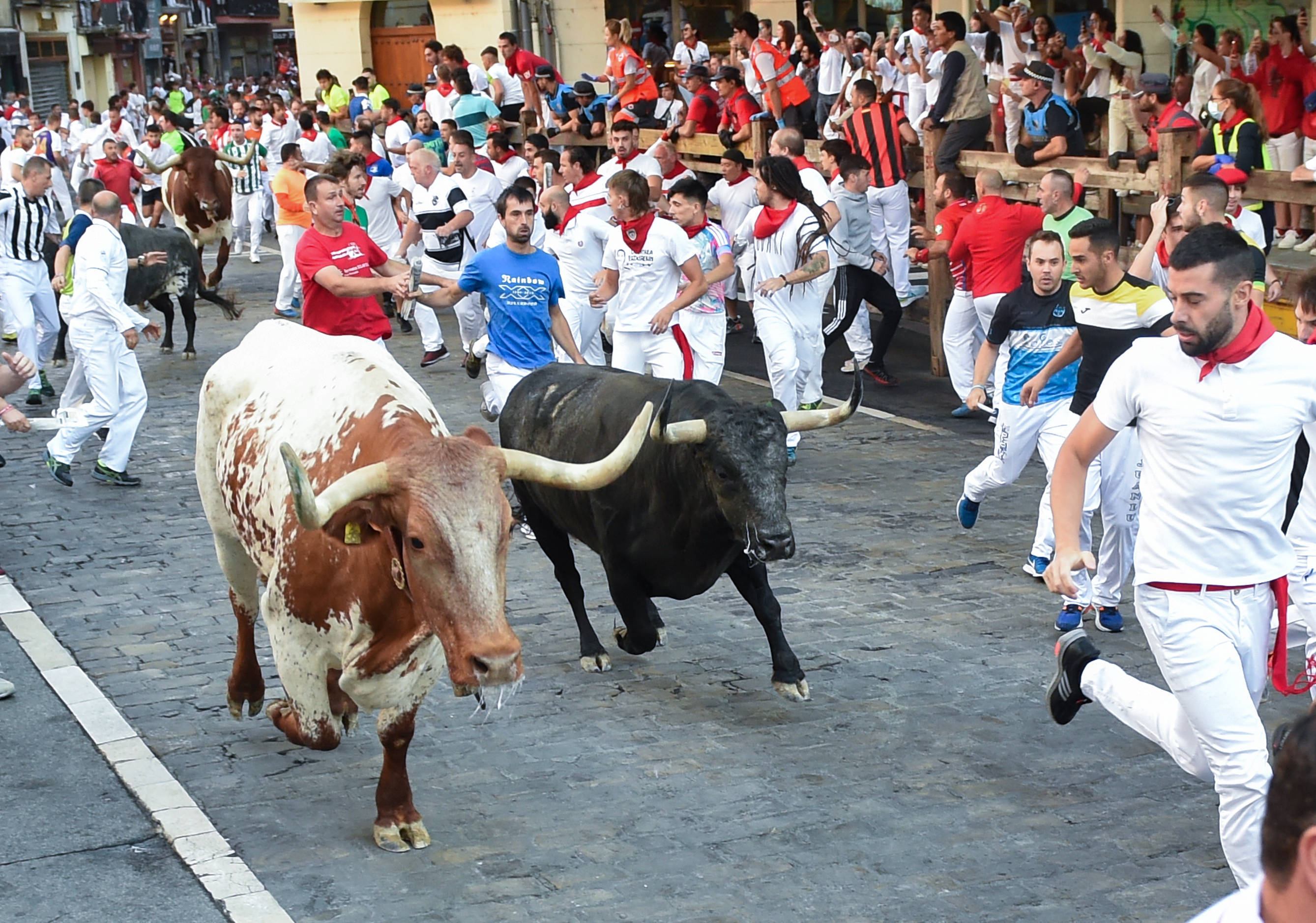 在西班牙潘普洛纳市举行的圣费尔明节又称奔牛节,是西班牙传统节日