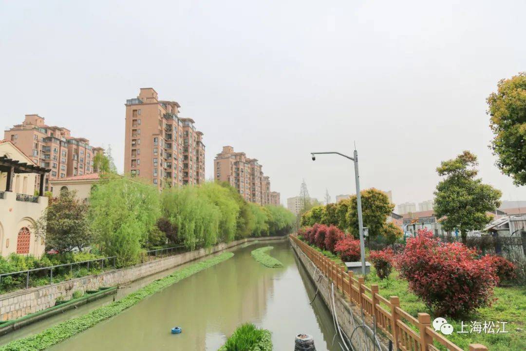 关于噪声扰民群租整治环境脏乱等九里亭街道办事处主任王浩峰这样回应