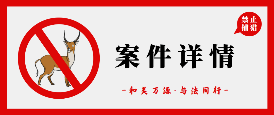 萬源一男子網購捕獵工具非法狩獵遭起_王某_禁獵_豬獾