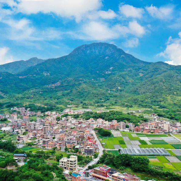 后埔乡村夏令营丨拔花生插水稻,动手制作米糕,农耕知识 亲近自然,学习