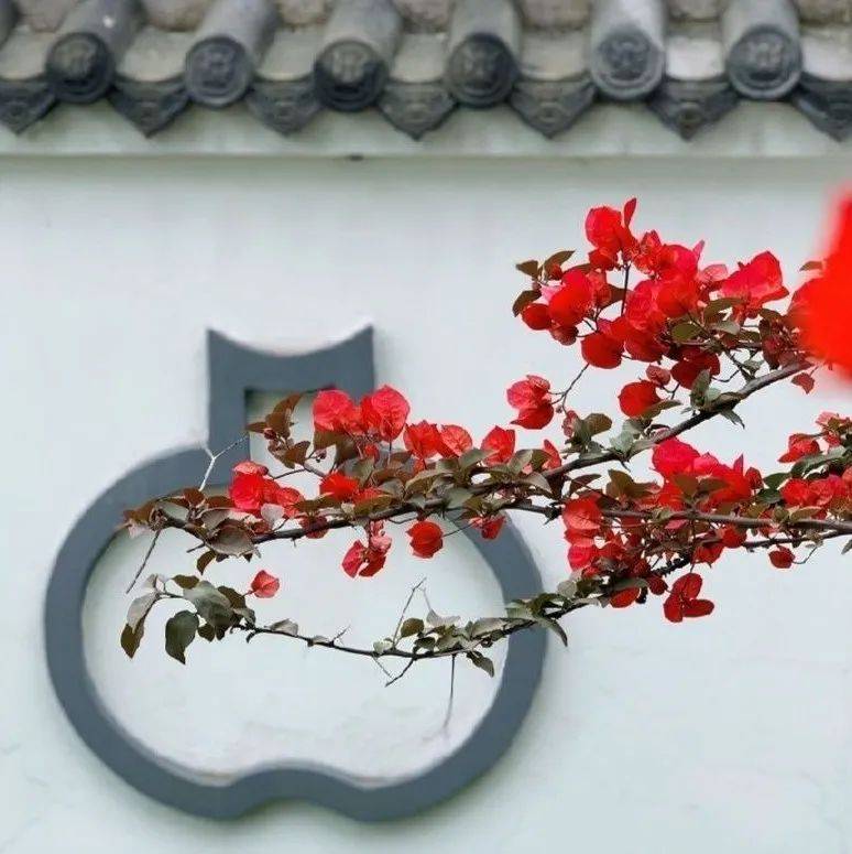 每日禅语:谁是你真正的贵人?_于所当_才更_能在