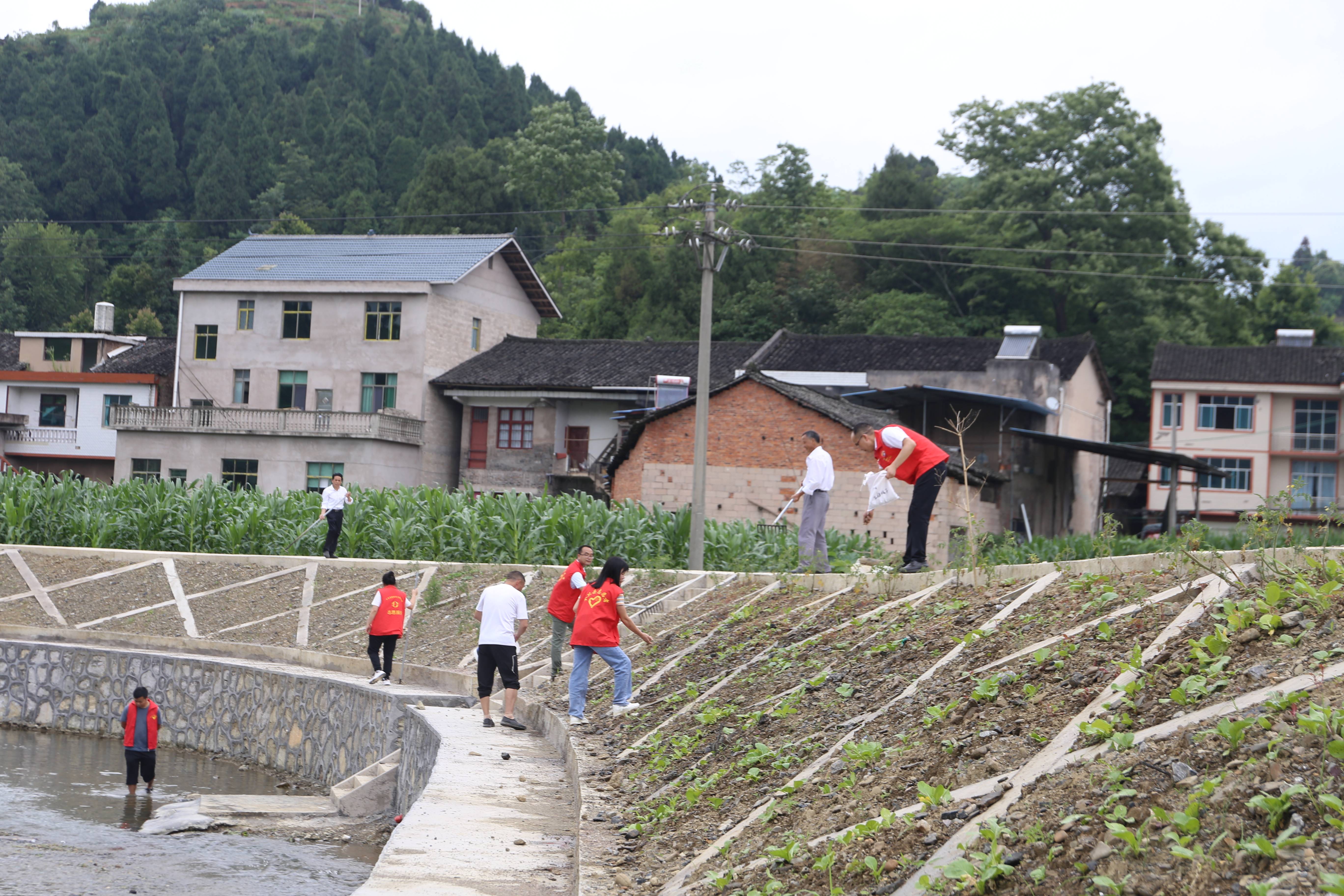 岑巩县客楼镇图片