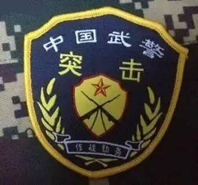 武警部队新式臂章图片