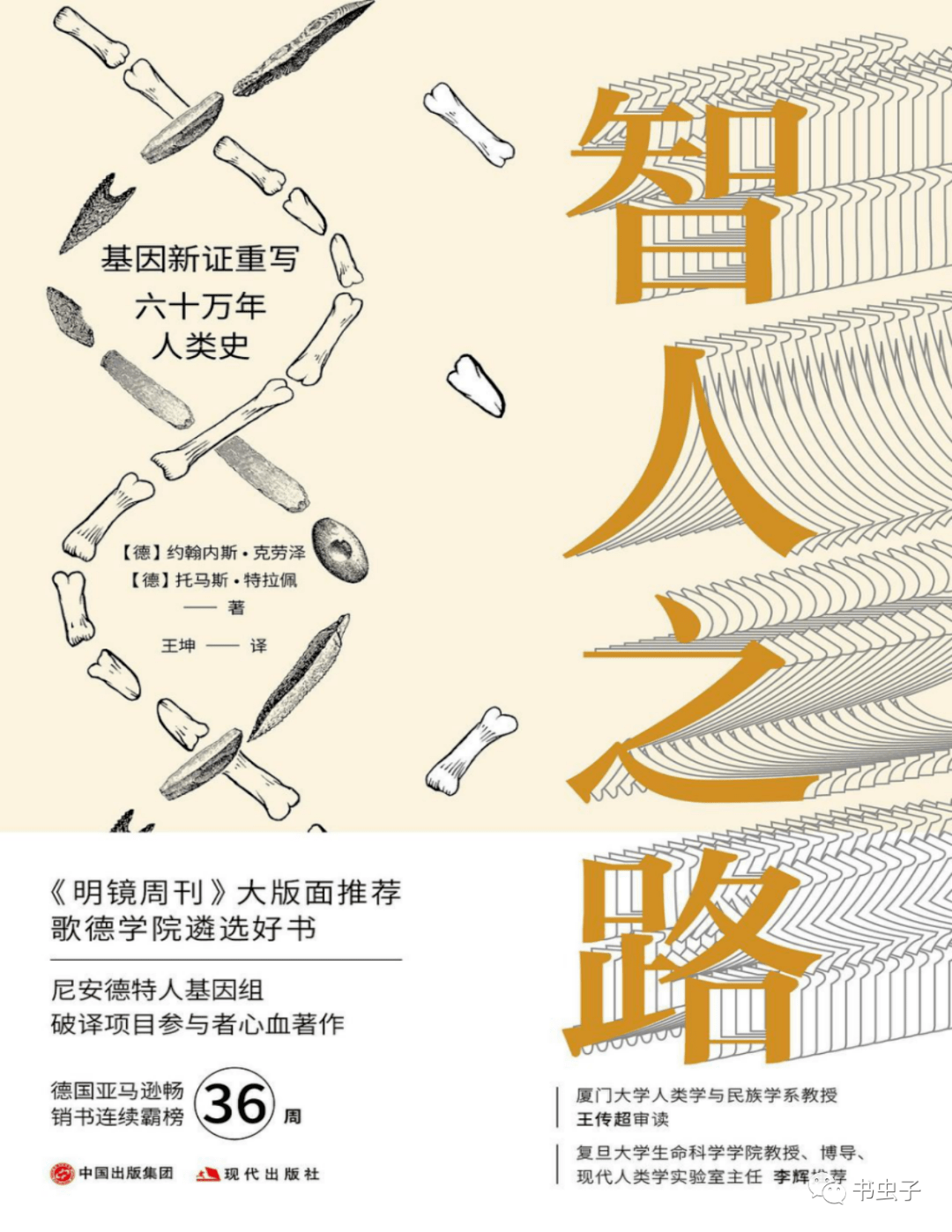 智人之路（上）_搜狐网