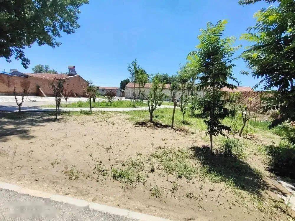 大兴区:提升人居环境质量,扮靓美丽乡村底色_西芦各庄村_治理_整治