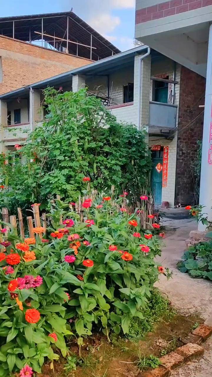 炎炎夏日祁东农村老家门前风景有花径有菜园是不是很惬意农村家门口的