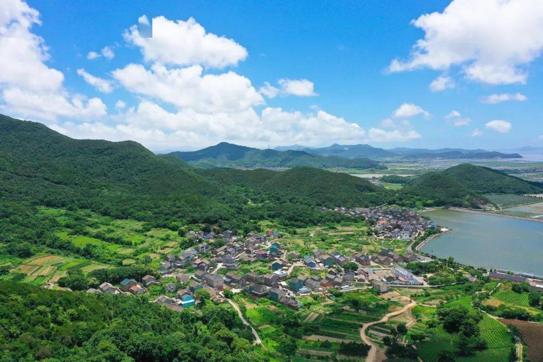 炎炎夏日,不如去六横五星村喝口茶67,抚慰躁动的心绪_普陀_炎热夏日