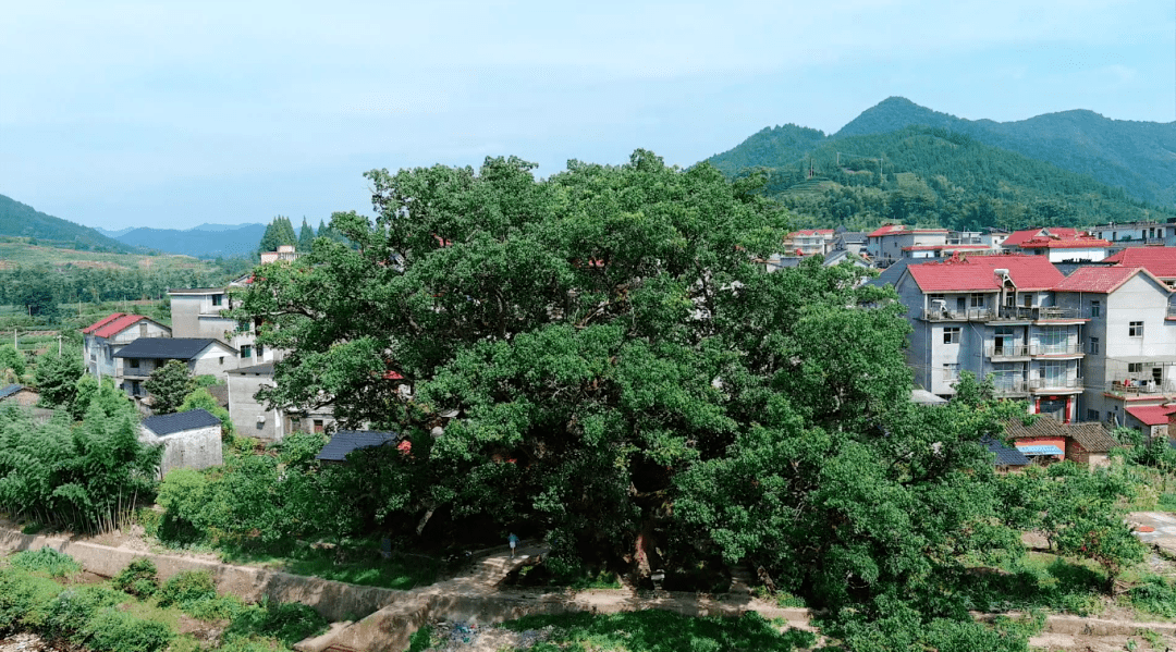 开化县宋村图片