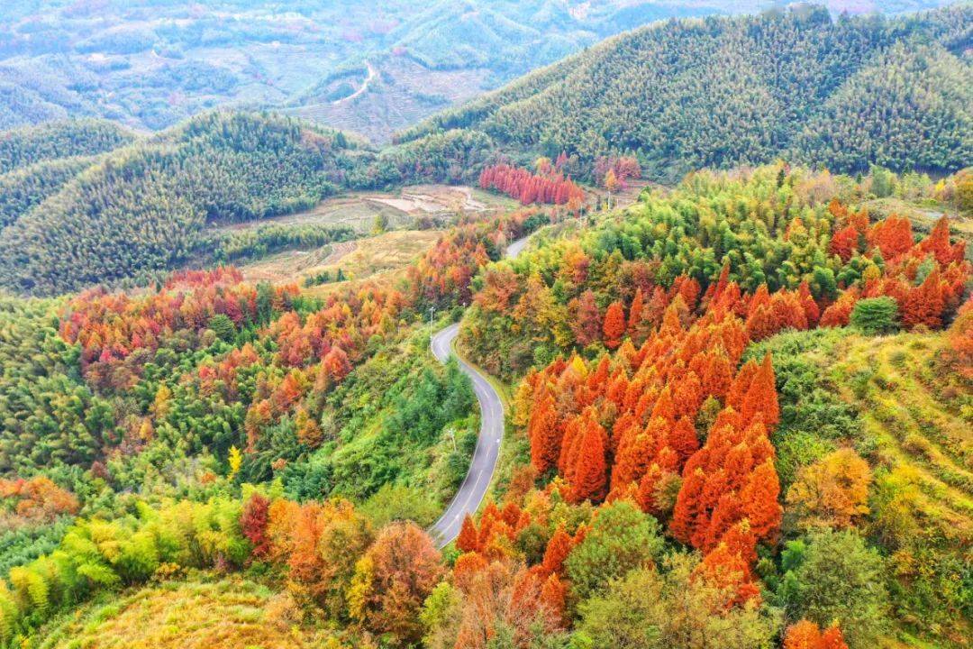 全域旅游万龙山乡竹海槽下森林康养度假村这个盛夏的避暑胜地