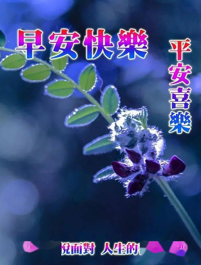 非常好看的夏天唯美溫馨的早安圖片帶字早上好問候語溫馨圖片帶字