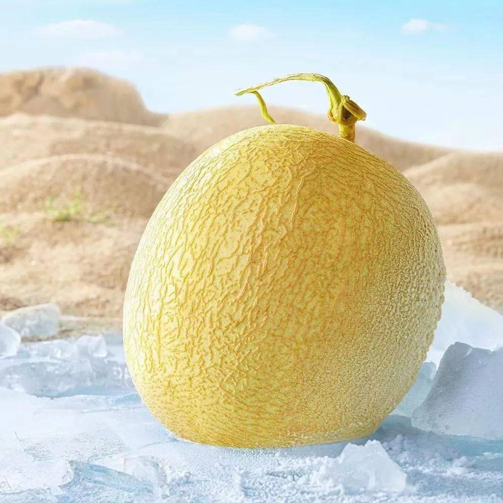 西贝戈壁白兰瓜一口甜一夏