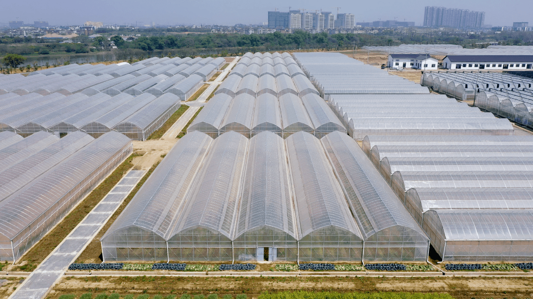 义乌市农业开发有限公司佛堂蔬菜产业园种植大棚意向招商通告