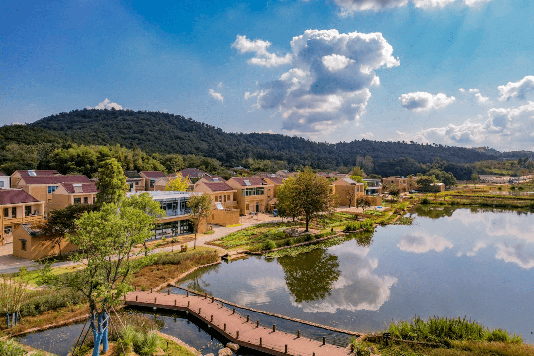 长寿之乡江苏溧阳再添5个省特色田园乡村!_上兴镇_建设_竹箦镇