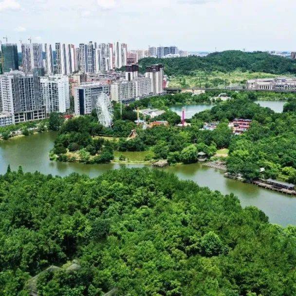 期待!咸宁将每年新建3至5处小游园、“口袋公园”!_城市_足球场_建设