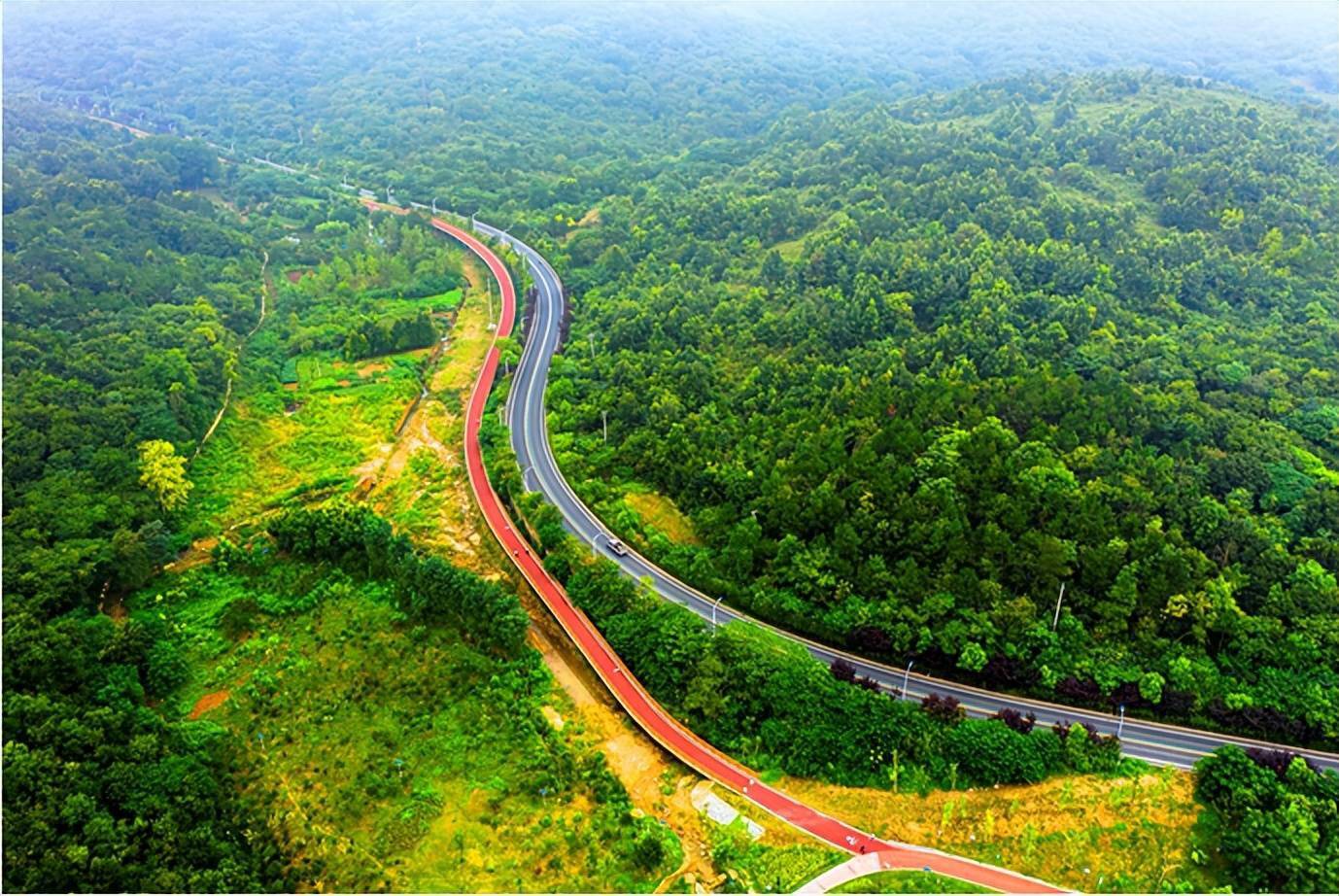 安徽人游安徽 | 首批"安徽省旅游风景道"名单出炉,歙县上榜1条!