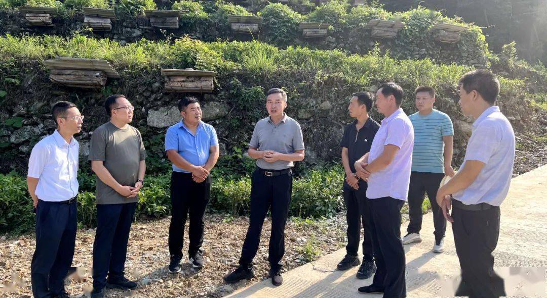 张书怀到康南部分乡镇调研乡村建设,产业发展等工作_群众_建设_调研