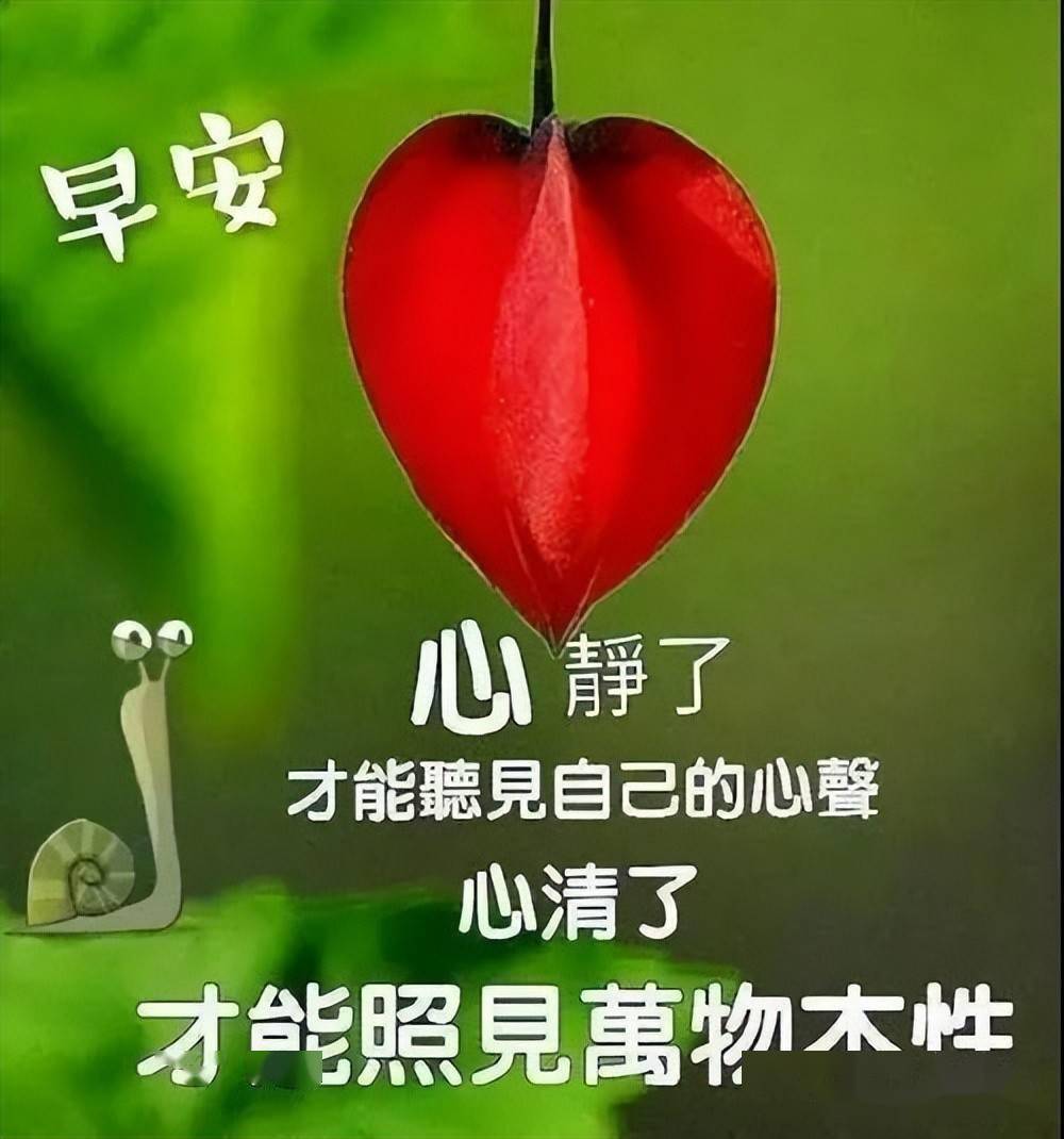 酷暑早上好表情時時牽掛讓彼此更親天天問候讓情意更濃