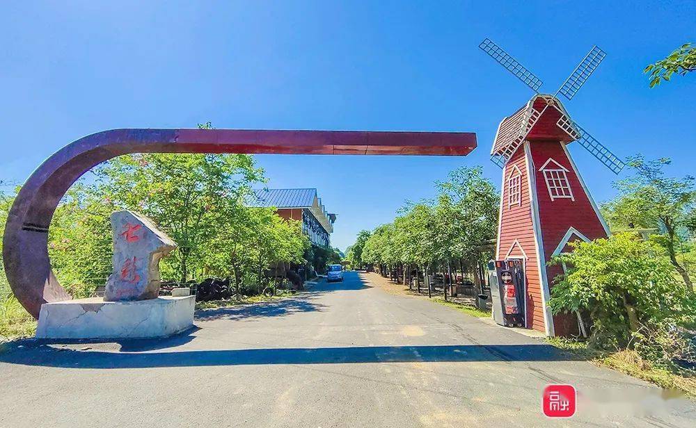 订餐电话果园采摘图文来源 |融水好门户 原创拍摄返回搜狐,查看更多