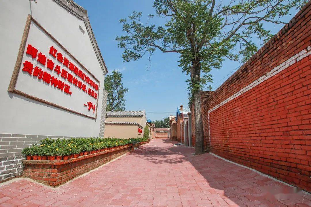 迎盛会铸忠诚强担当创业绩绘就乡村振兴美丽画卷双口镇积极开展辰兴