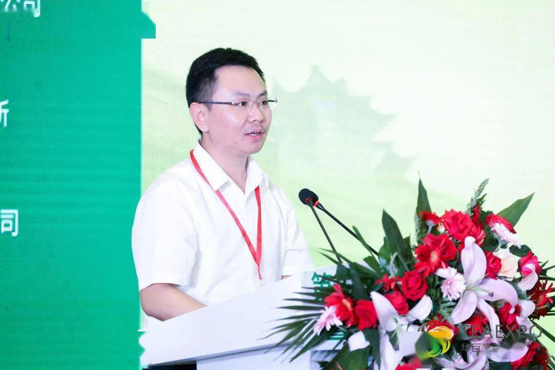 茶叶行业协会_茶文化_南平市