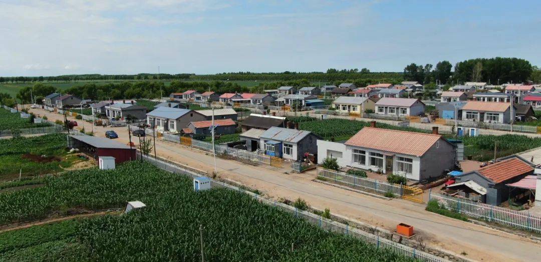 迎旅发活力宝清七星河乡东强村乡村振兴让革命老区村旧貌换新颜
