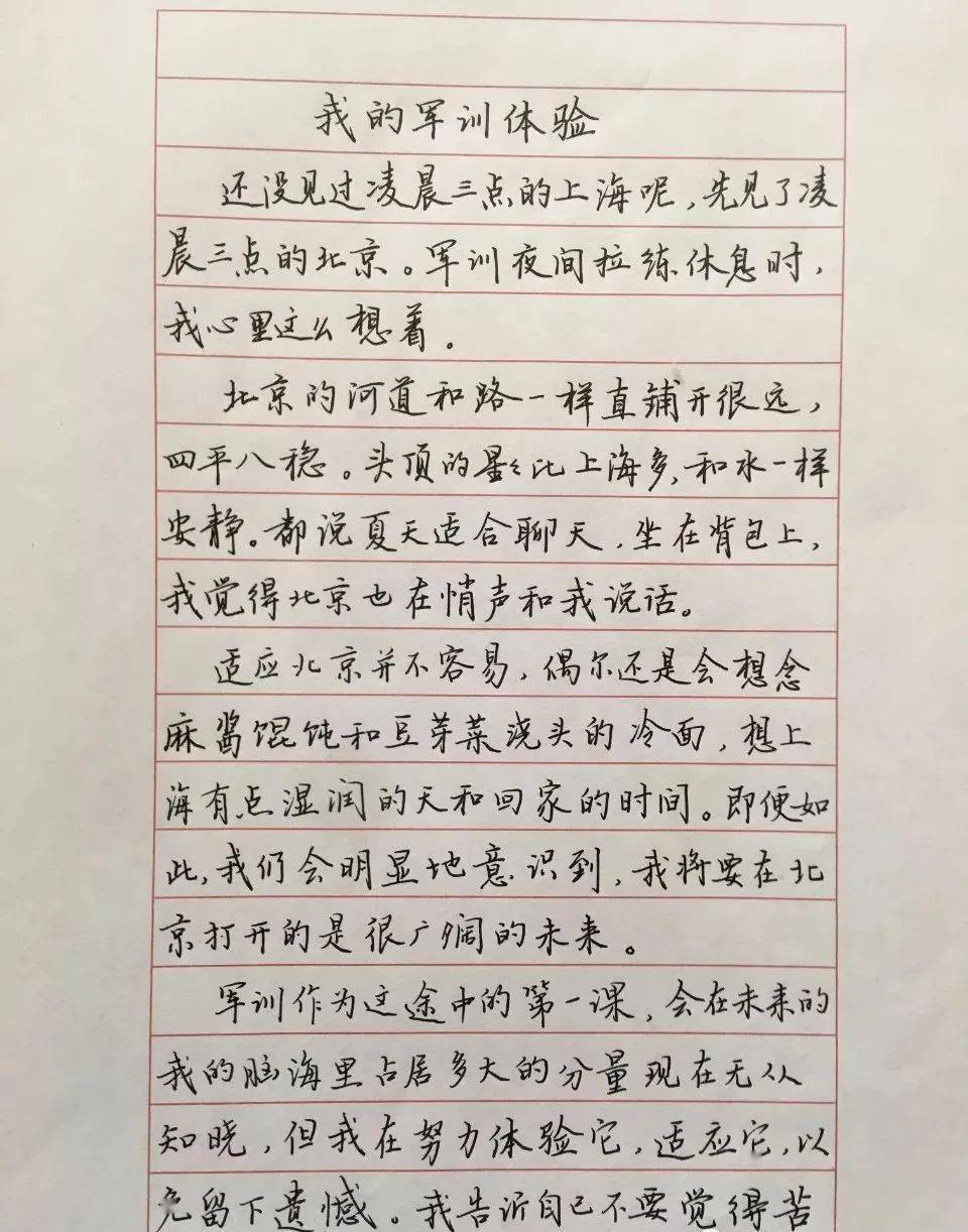 清华才女武亦姝硬笔日记曝光