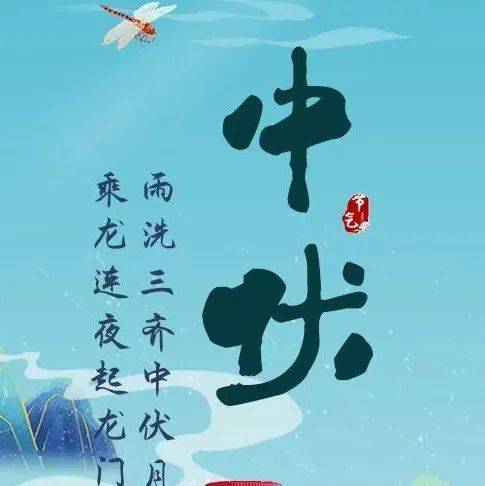 中伏 | “荷”以消暑,化伏为安_身体_夏日里_病根