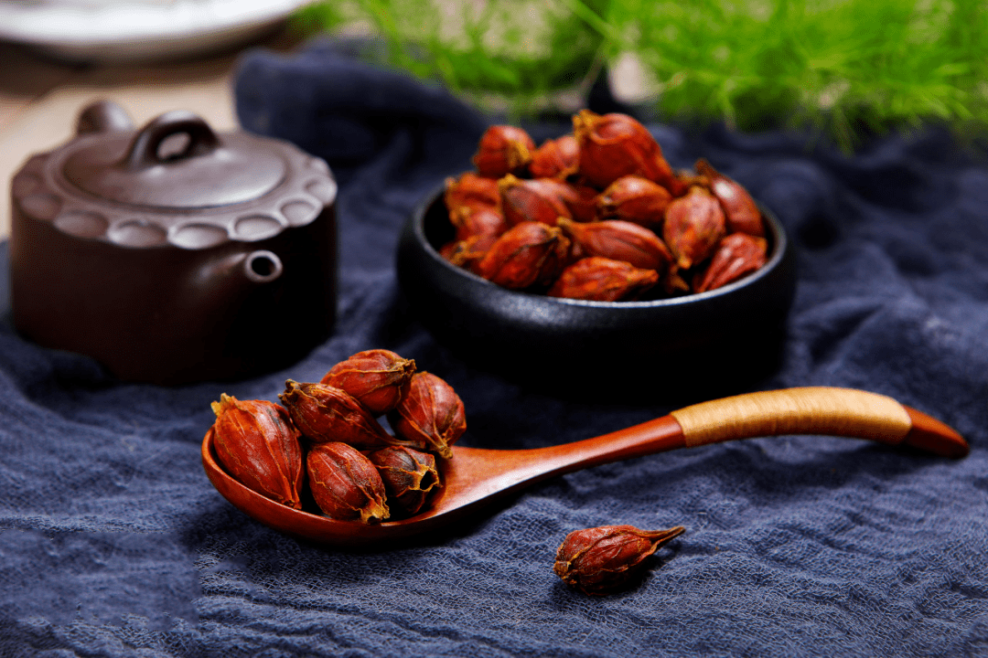 栀子_干姜_脾胃