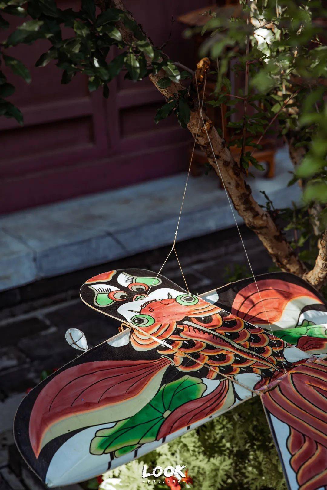 北京小众职业③ · 全国仅3位 | 北京look_风筝_吕铁智_先生