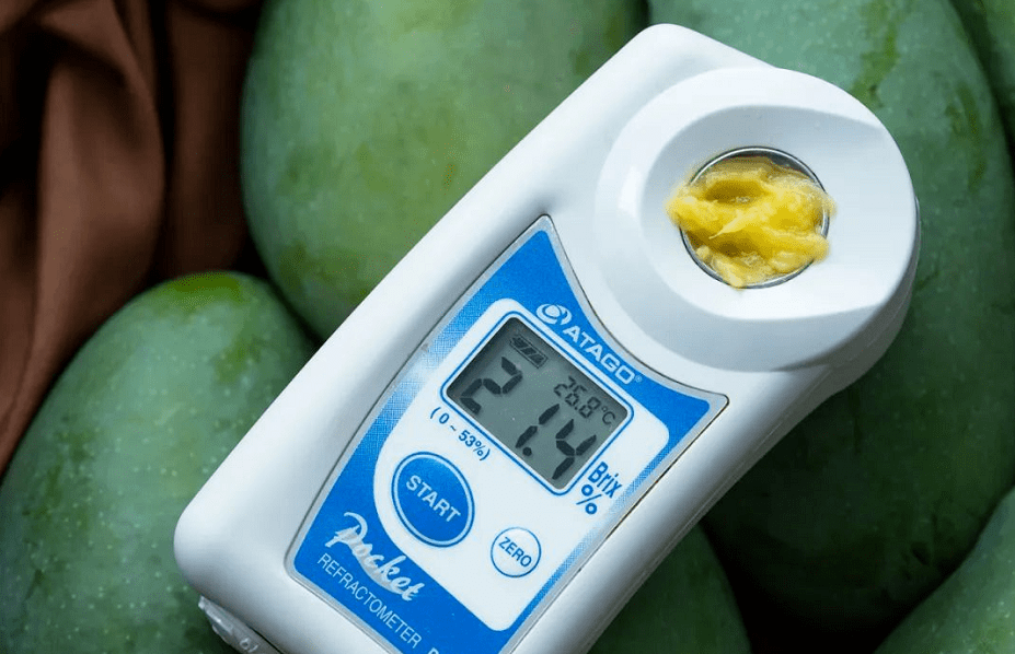 9元15甜度20 以上!_桂七啦_芒果_水果