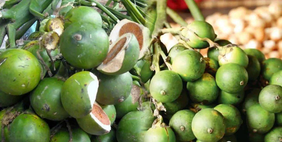 泰国槟榔在中国市场供不应求出口量达每年1万吨