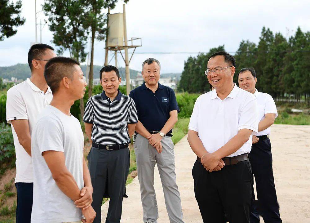 王力到江川区下访回访信访群众_九溪镇_项目_问题