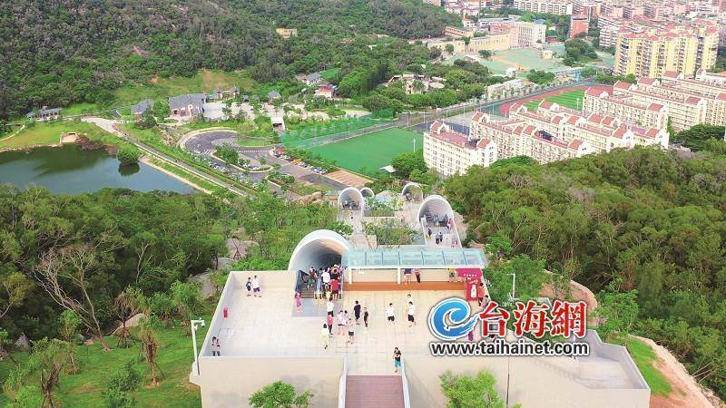 厦门植物园“天梯”新网红打卡地来了