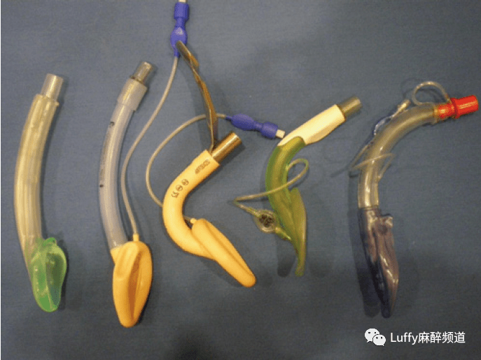看图说话小议气道及气管插管工具